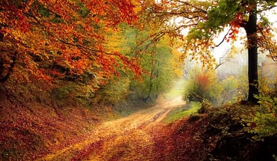 Moving to a New Season in Life? You'll Need These 3 Things