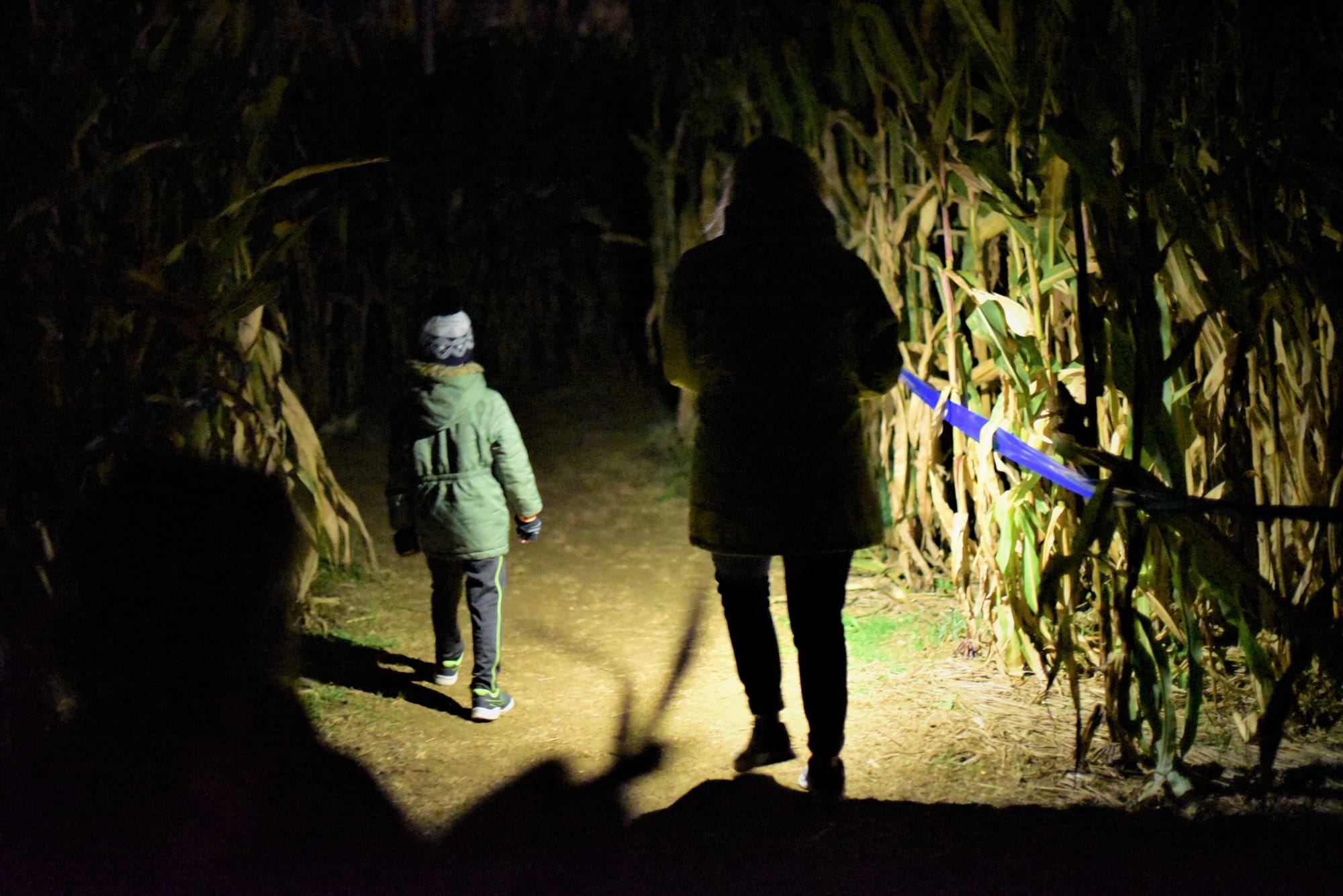 Corn Maze at Ard's Farm 10-18-2019