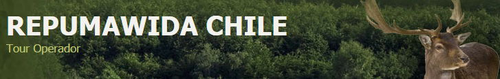REPUMAWIDA CHILE