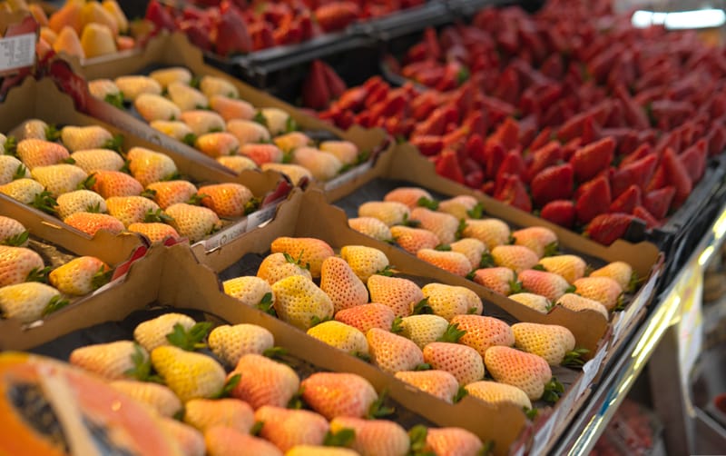 מדריך השווקים של פראג