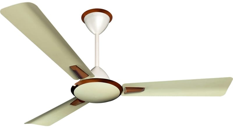 Ceiling Fans