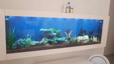 אקווריום תמונה 1.70 מטר עם תאורת לד להבלטת צבעים