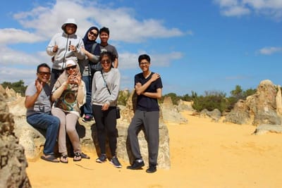 Pinnacles Desert, Nambung National Park (north)