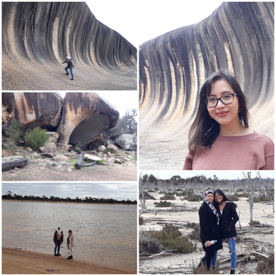 Wave Rock, Hyden