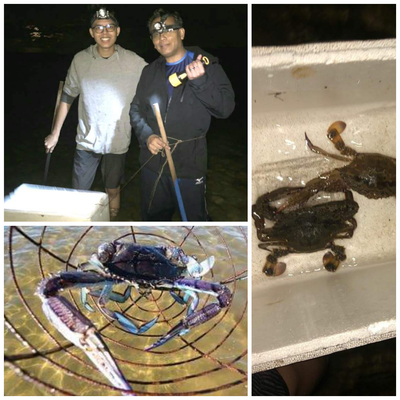 Crabbing in Mandurah