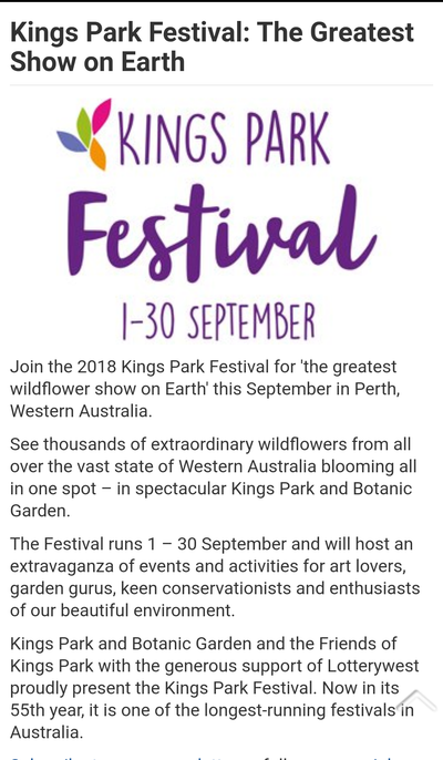 Kings Park Festival