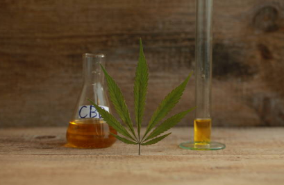 Gains of Utilizing CBD Oil