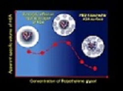 Effect of Macromolecules on the Conformational Stability, hydration of Bio molecules