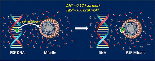 Drug-DNA complexes