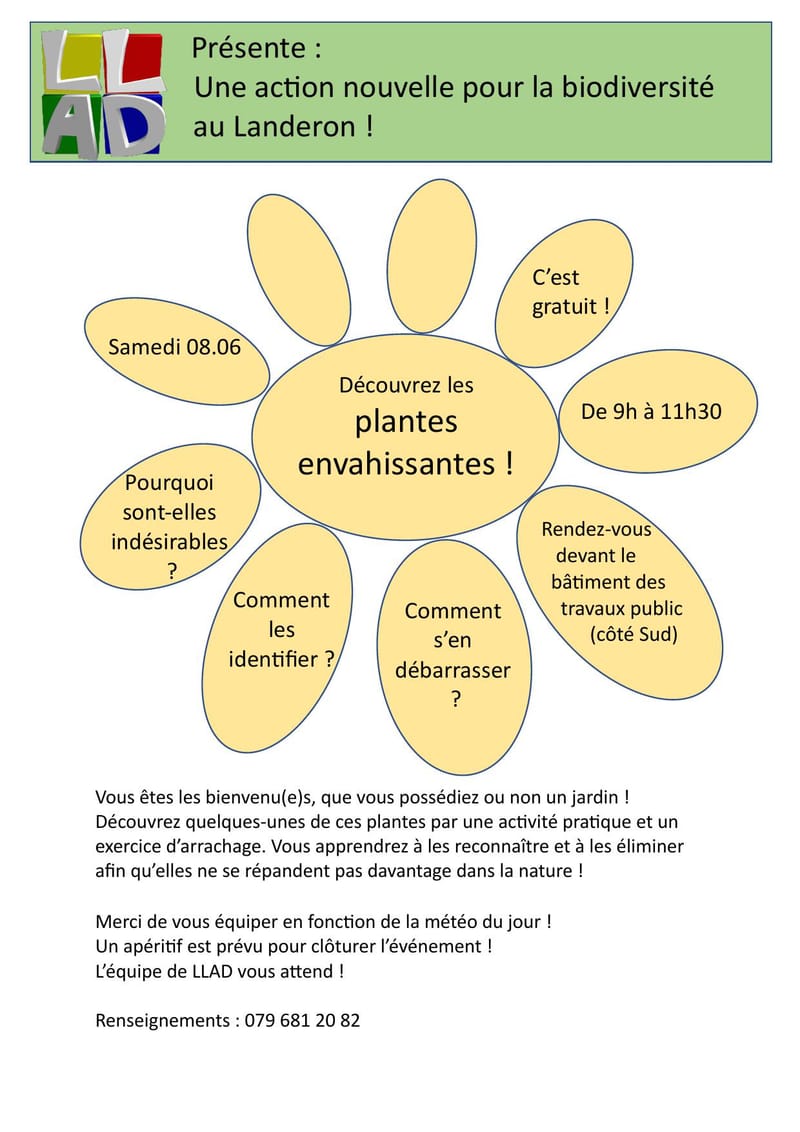 Action biodiversité : découvrez les plantes envahissantes