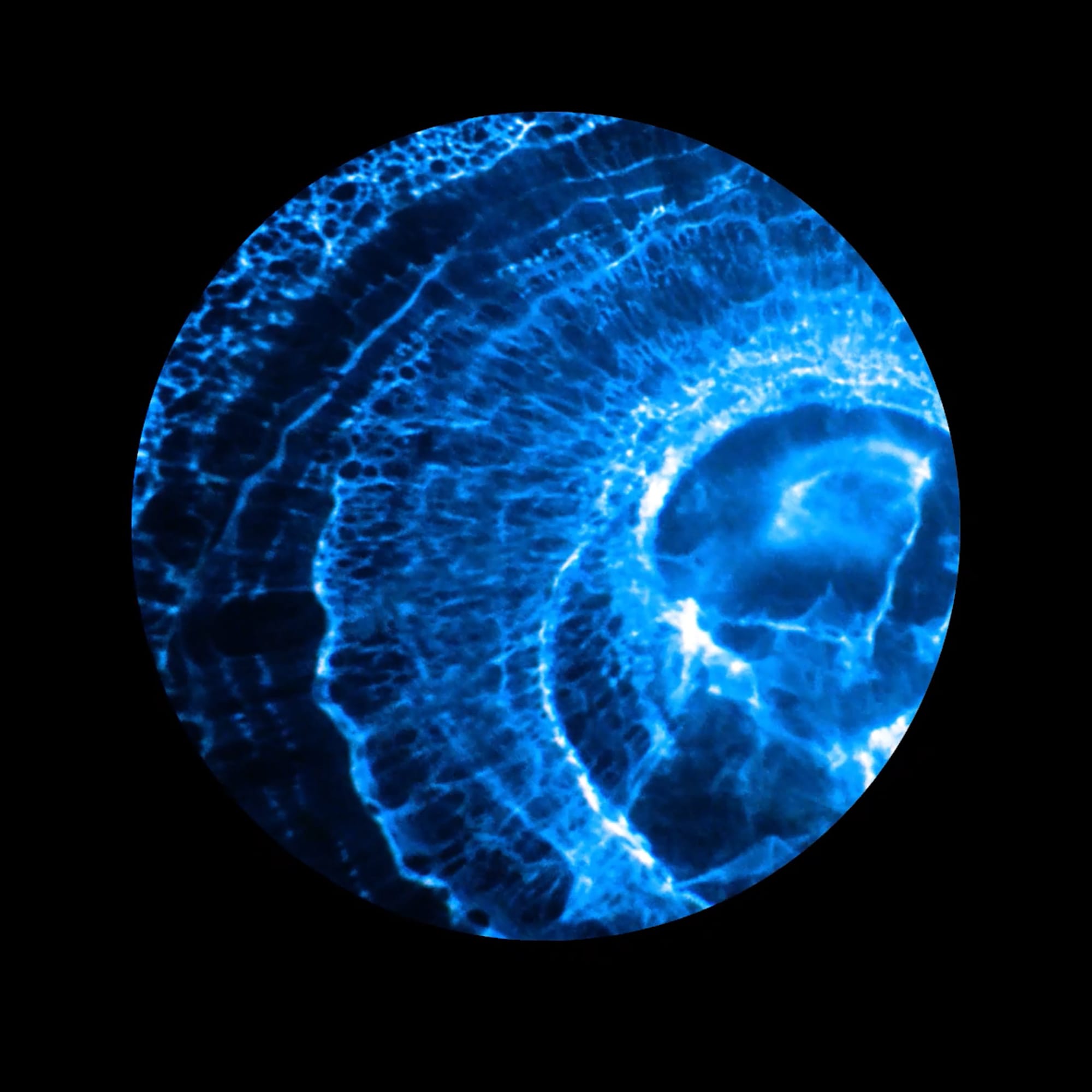 SOLAR CORES SPACE