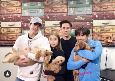 987Fm Visit Pooch's Image (Teaching you how to groom your pets)