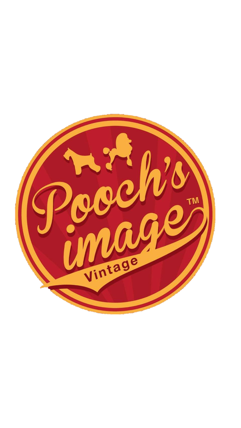 Dog Grooming Services in Singapore by Award-Winning Groomers | Pooch I