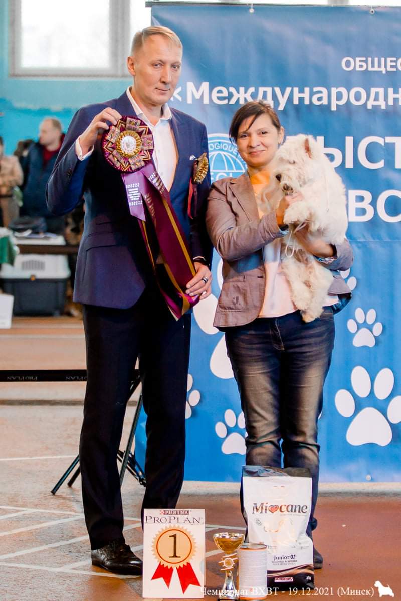 Our Award Winning Puppies 