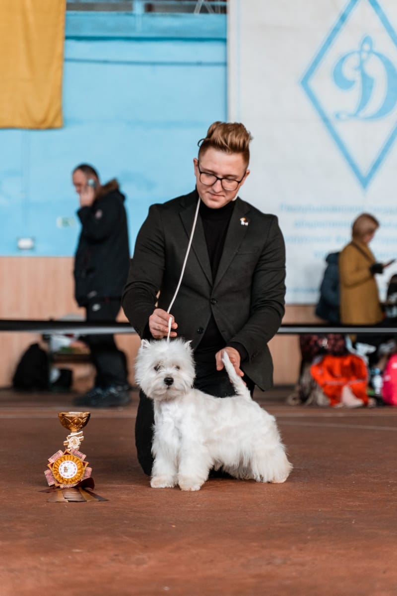 Our Award Winning Puppies 