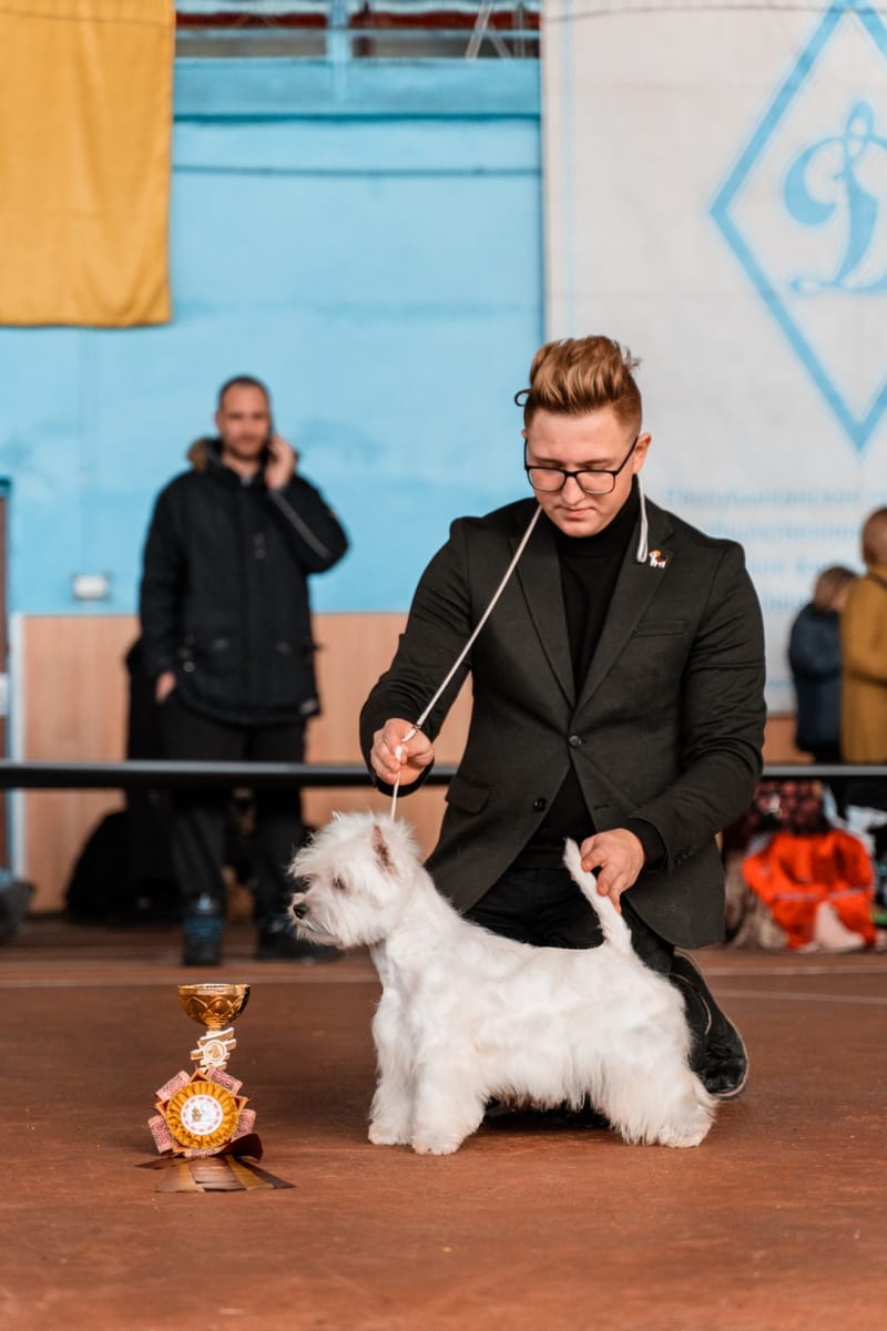 Our Award Winning Puppies 