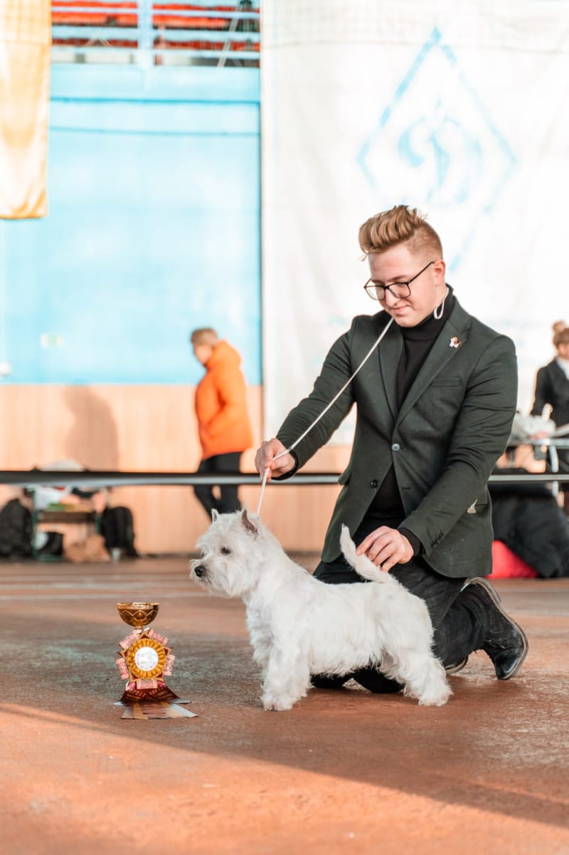 Our Award Winning Puppies 