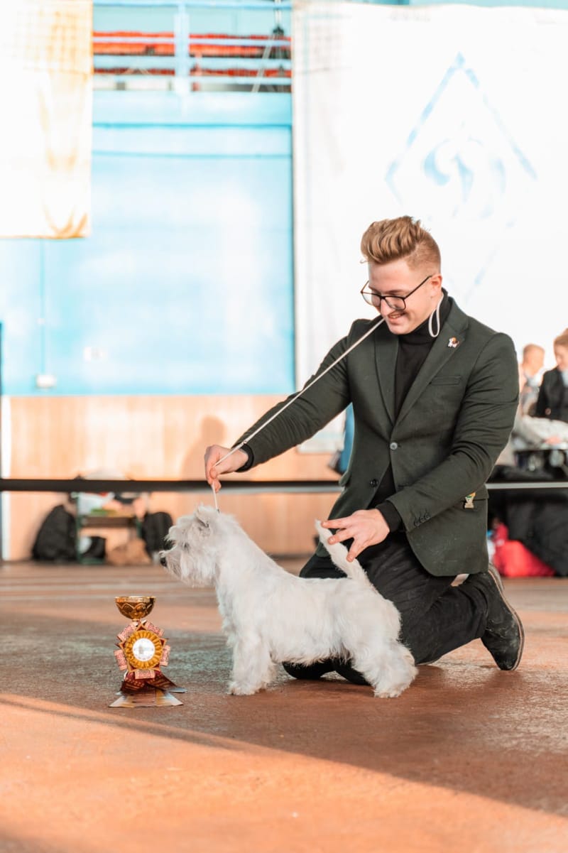 Our Award Winning Puppies 