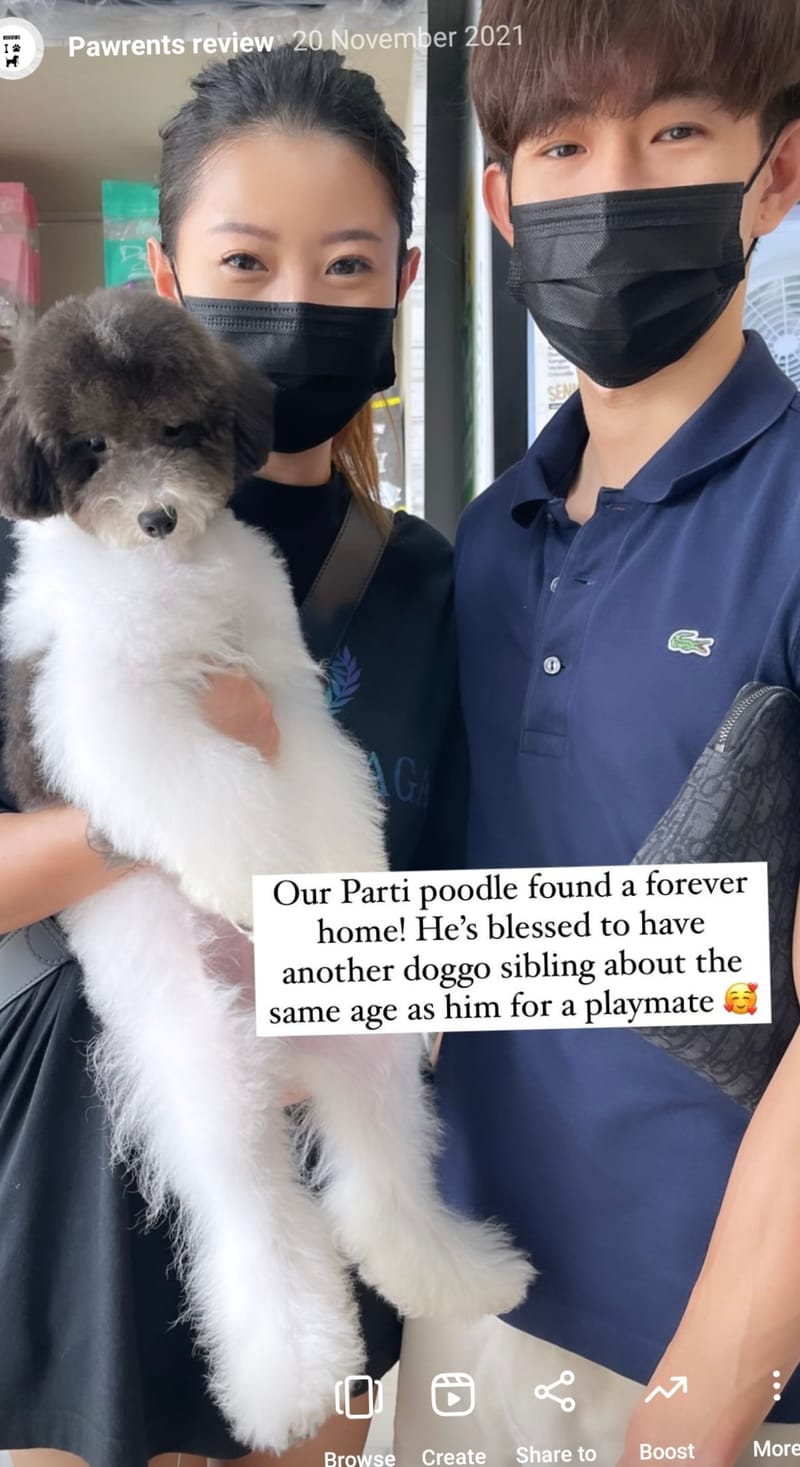 Our PoochPups Owners