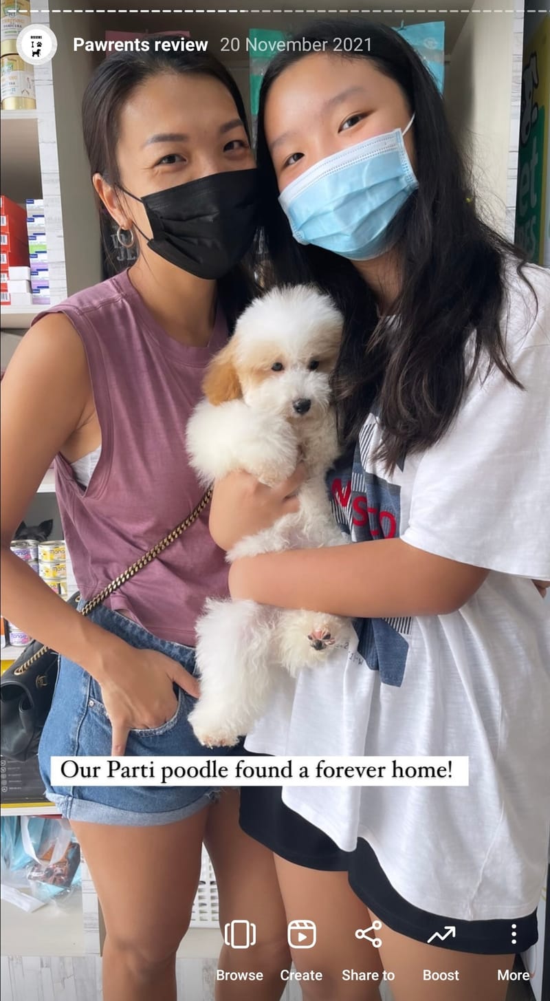 Our PoochPups Owners