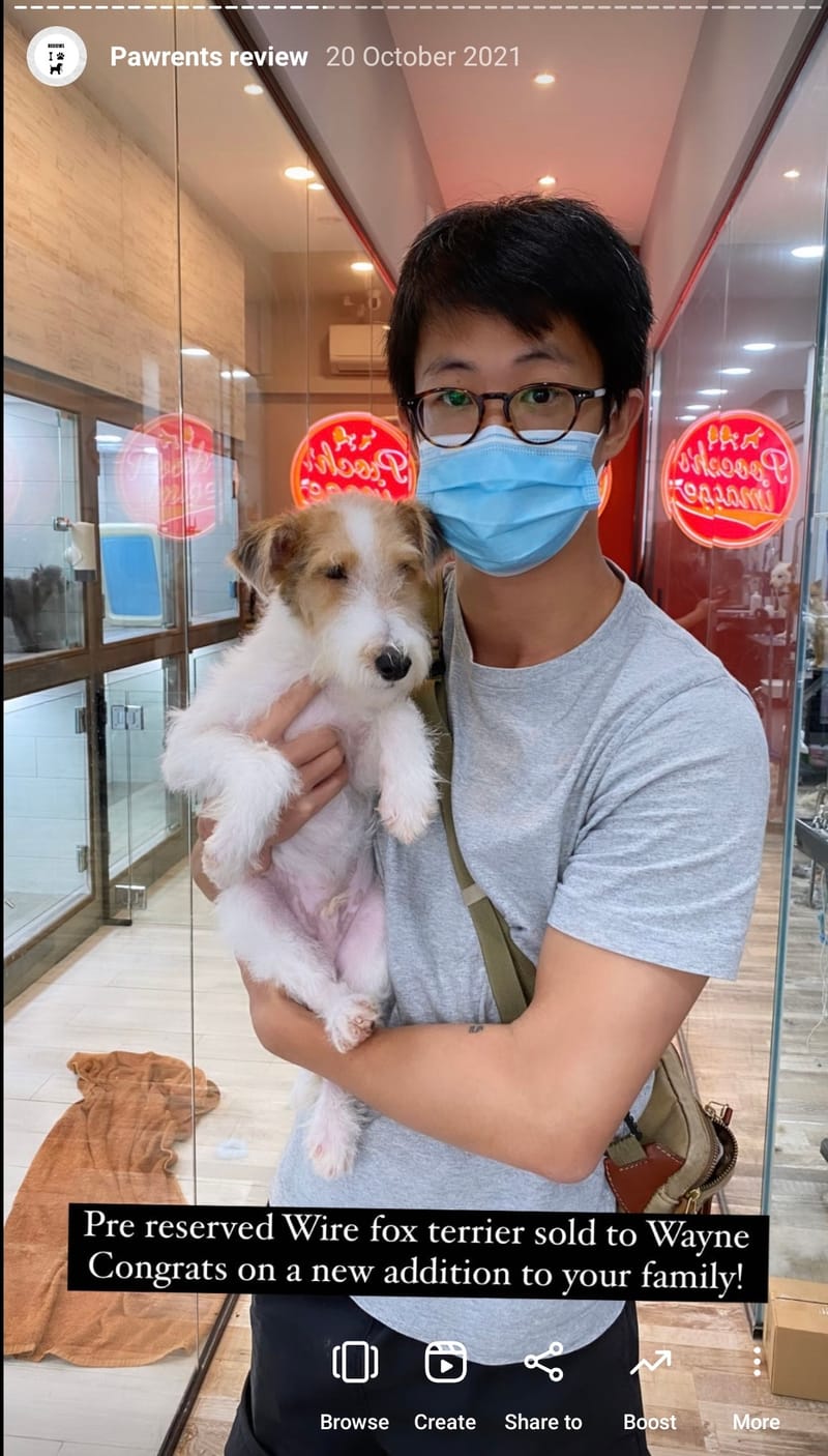 Our PoochPups Owners