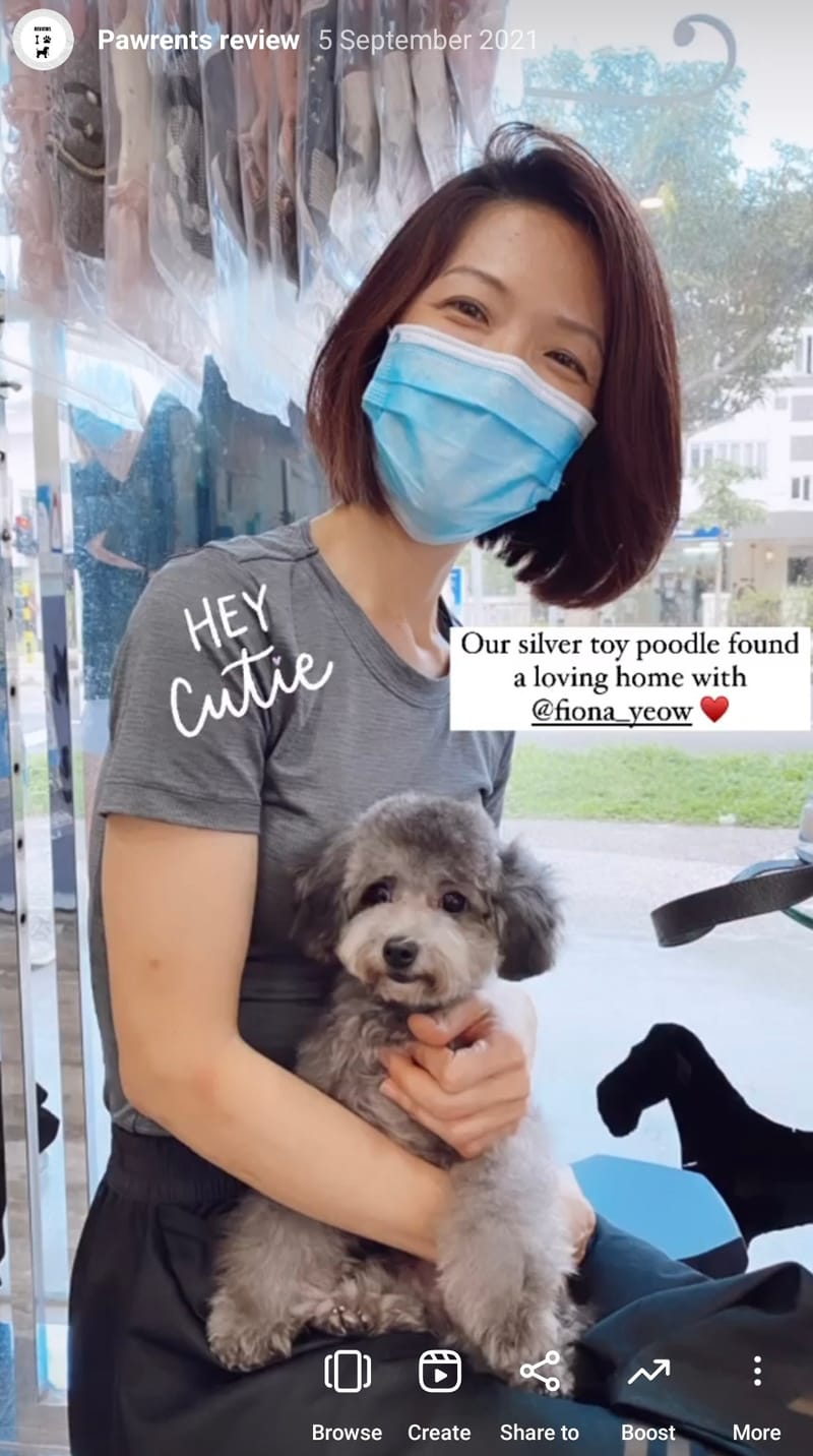 Our PoochPups Owners