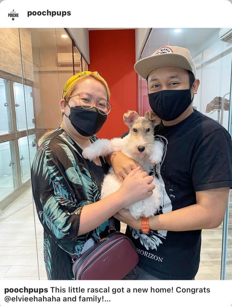 Our PoochPups Owners