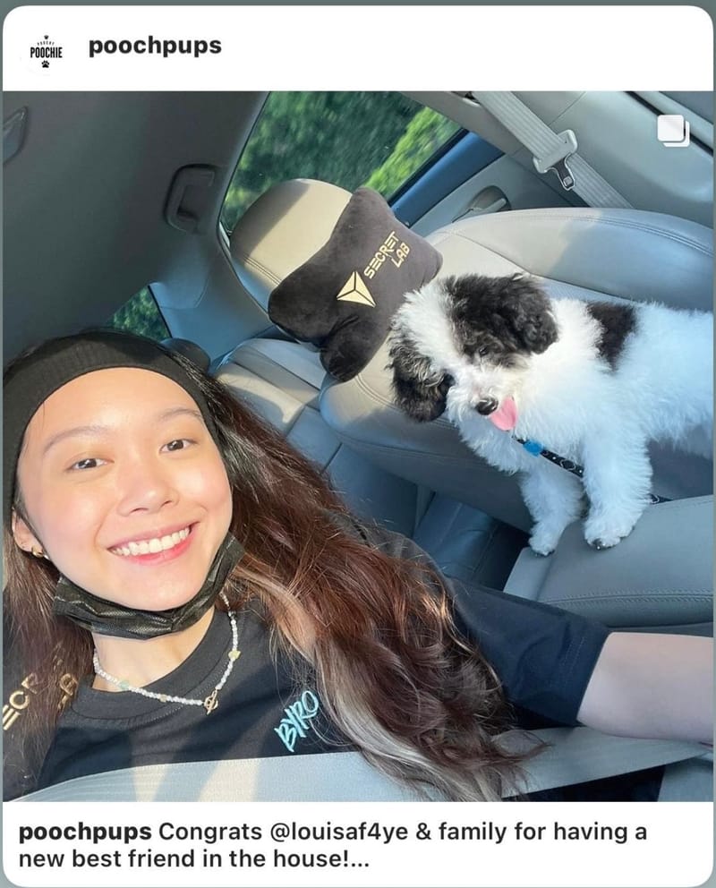 Our PoochPups Owners