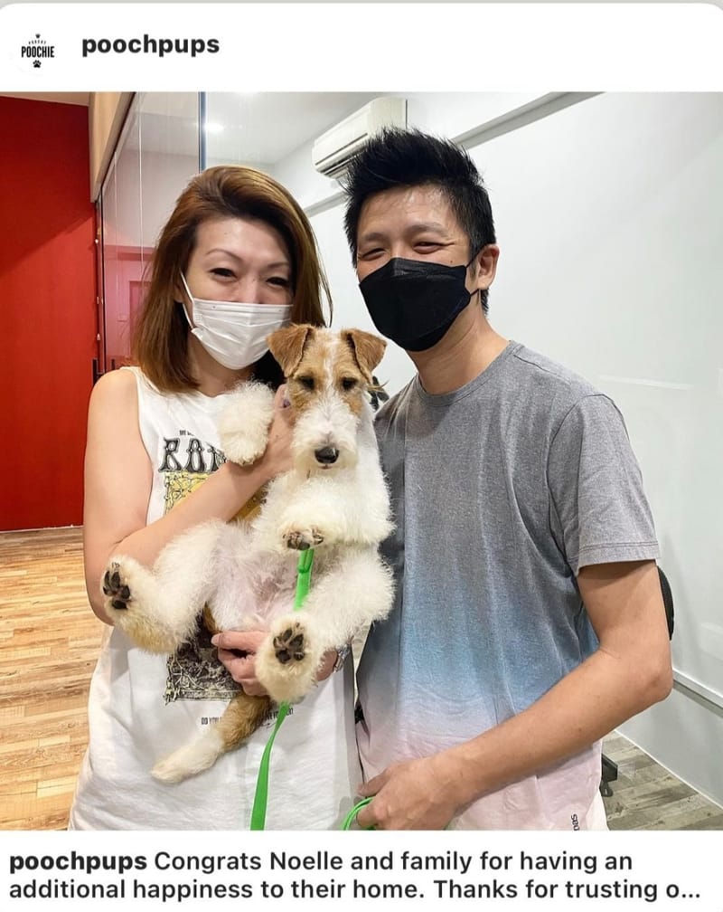 Our PoochPups Owners