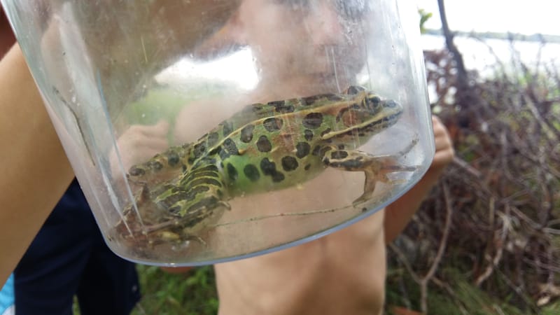 Summer 2018 through the eyes of TRACKS Education staff member Alex Roper!