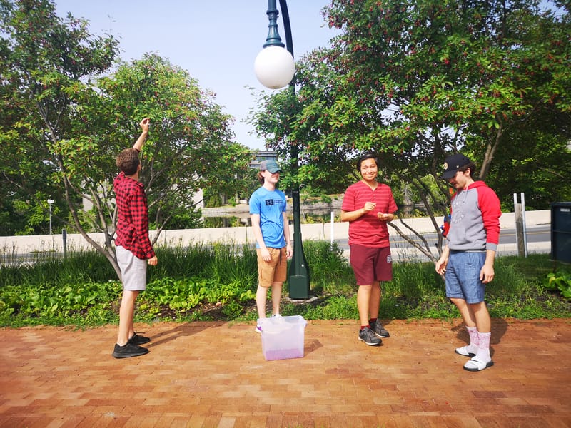 Blog: Medicine Teachings with our Oshkwazin Youth Ambassadors