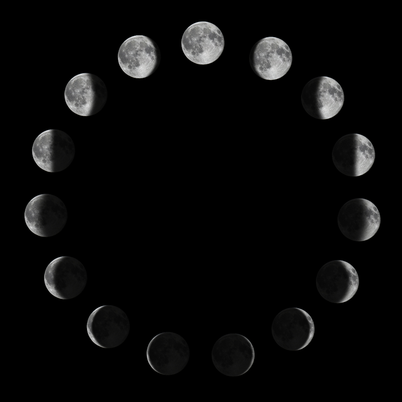 Astronomy Activity #1: Nokomis Observations