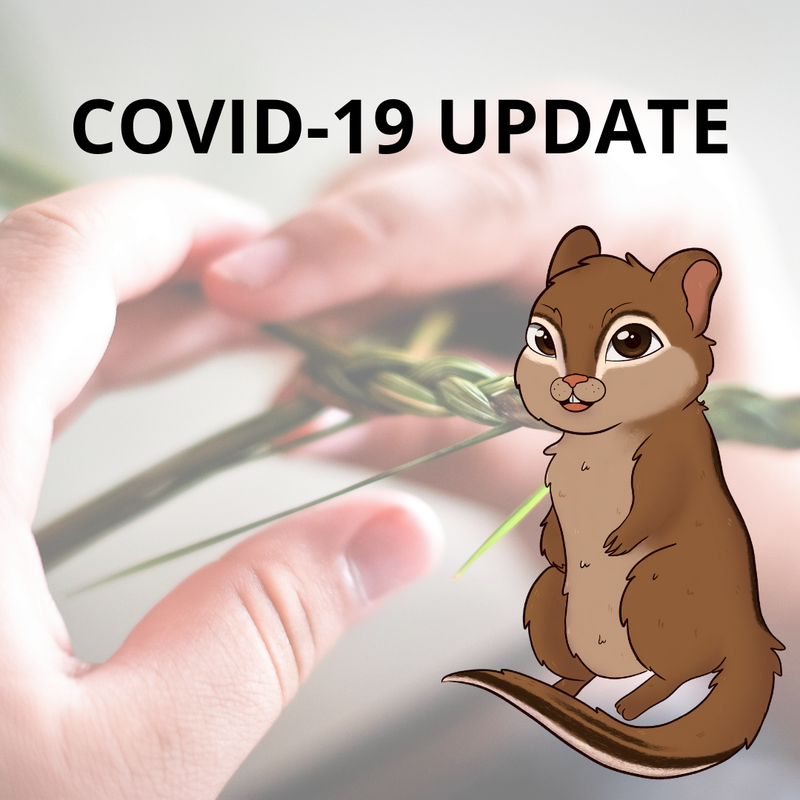 Blog: COVID-19 Updates