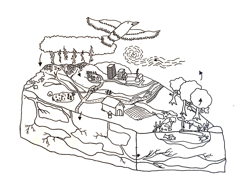 Archived: Science Odyssey Week: Two-Eyed Seeing Water Cycle