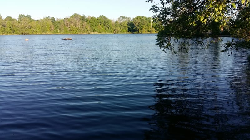 Watershed Restoration Tips