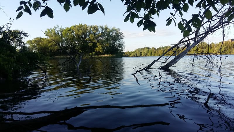 Blog Post: Learning More about Odenaabe