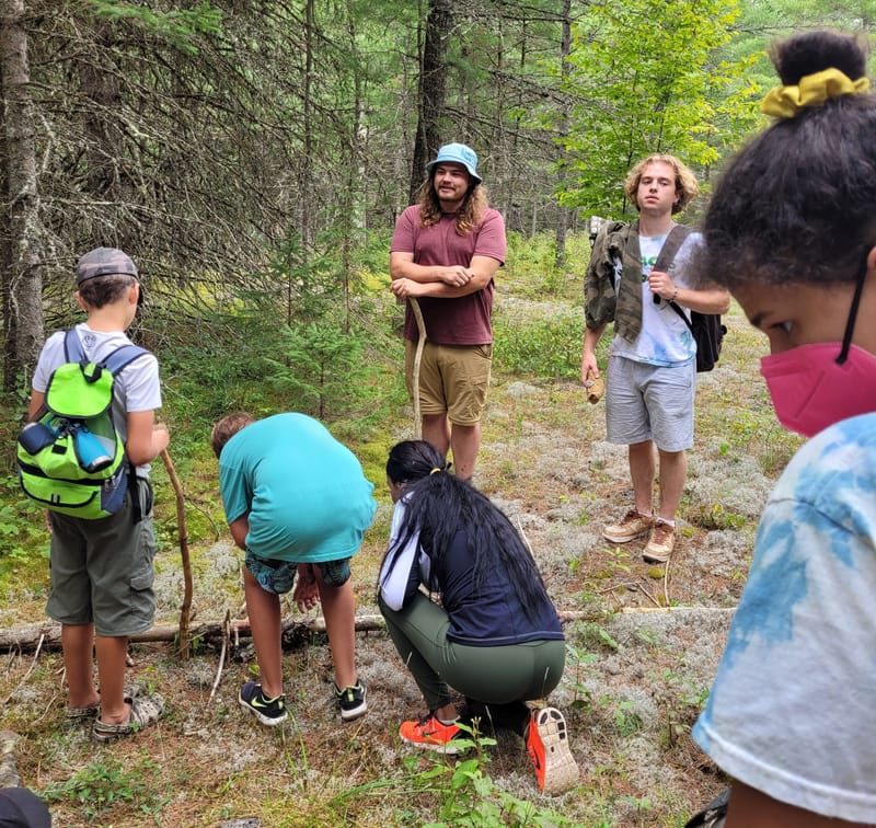 Ziigwan: End of Summer Blog Post