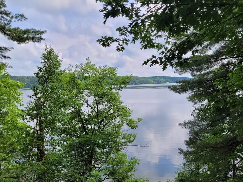 Mon: 10 Questions with the TRACKS Team