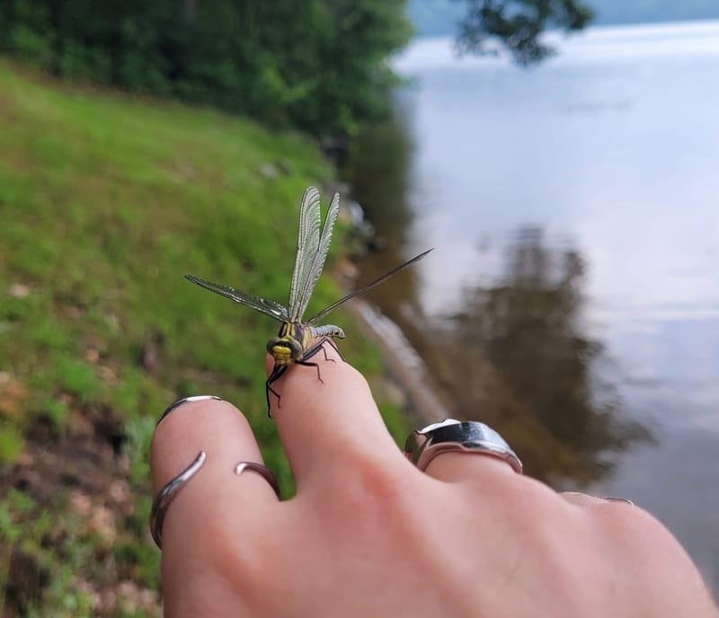 Ziigwan: 10 Questions with the TRACKS Team