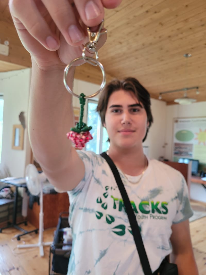 Blog Post: What are Trailblazer Land Camps?