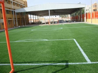 تنسيق حدائق الرياض image