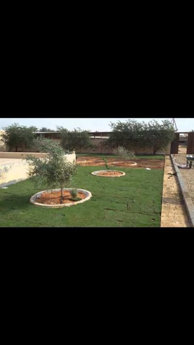 تركيب شلالات وديكورات زراعيه وعشب ارضي وجداري ومظلات وتركيب جميع انواع الأشجار والورود  image