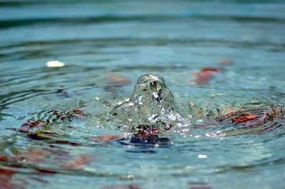 Meaning in Art or Does Artwork needs to have a message?