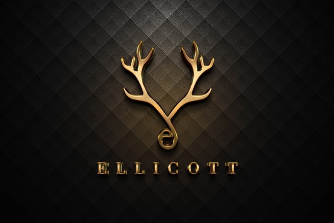 Logo Designs
