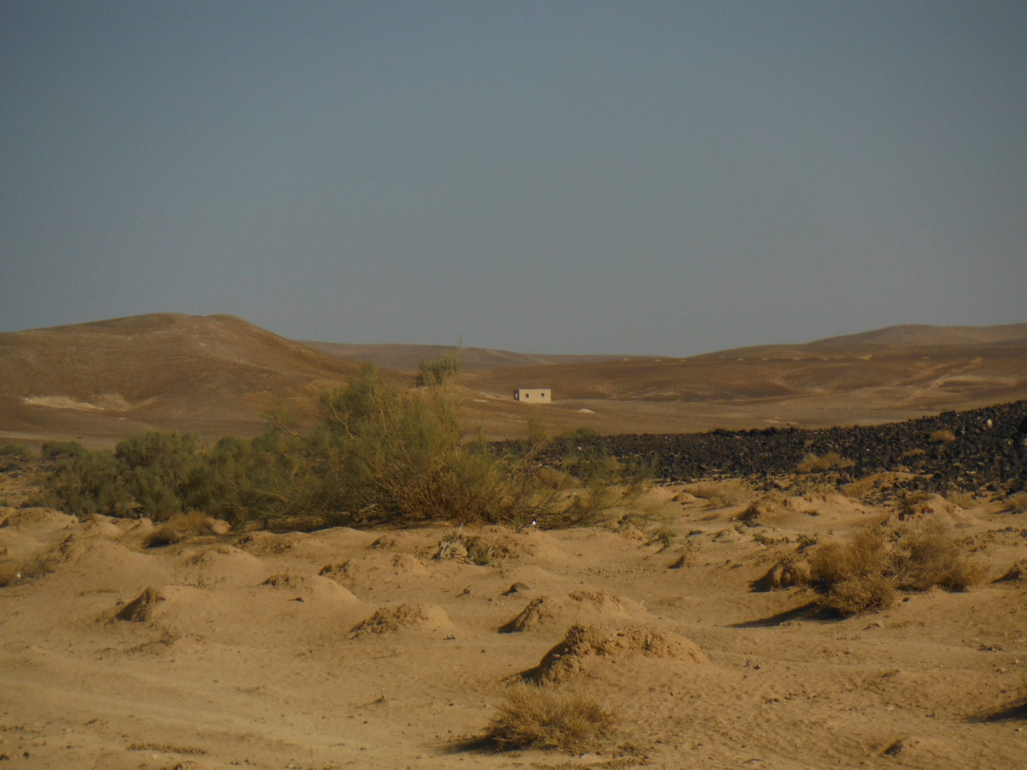 Qasr Assekhim area