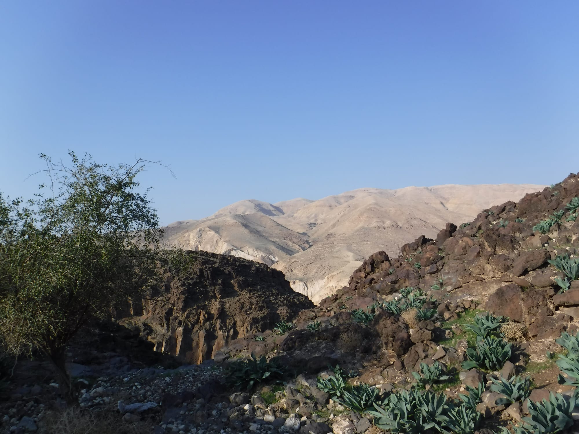 Wadi Ma'in