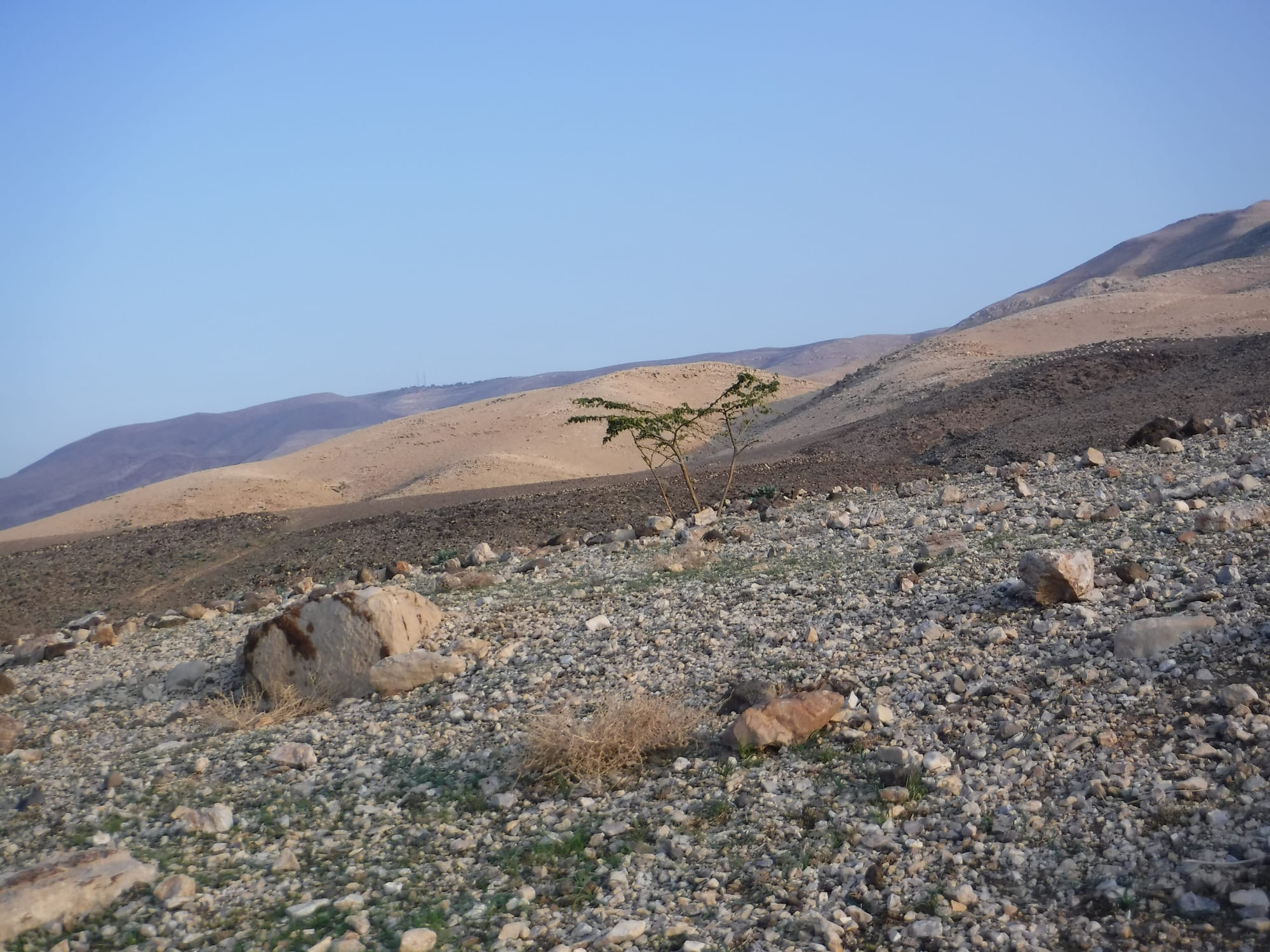 Wadi Ma'in