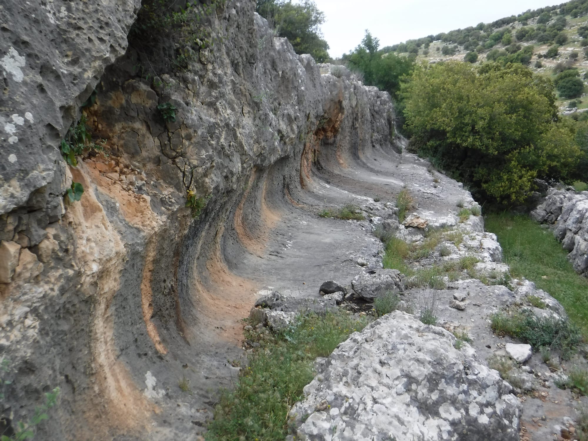 Mar Elias area