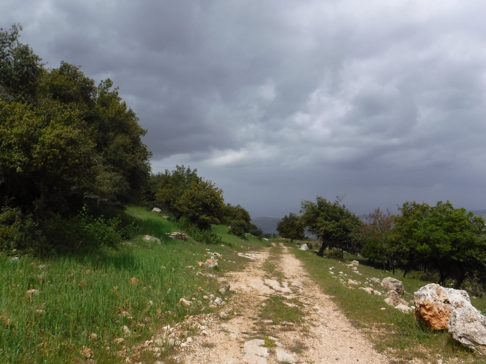 Mar Elias area