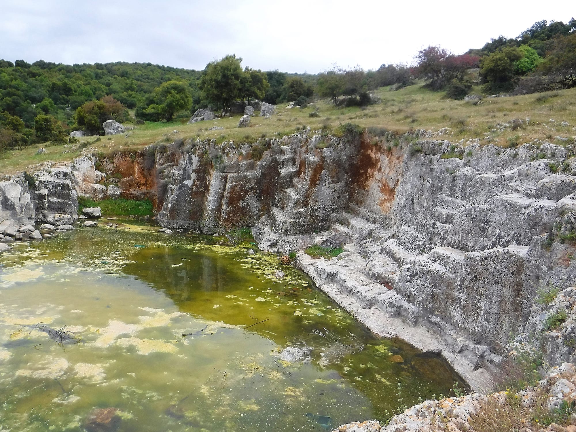 Mar Elias area